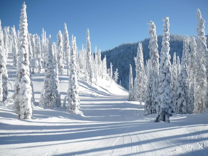 Fernie, Canada ski resort guide for Australians | Travel Agent Perth ...